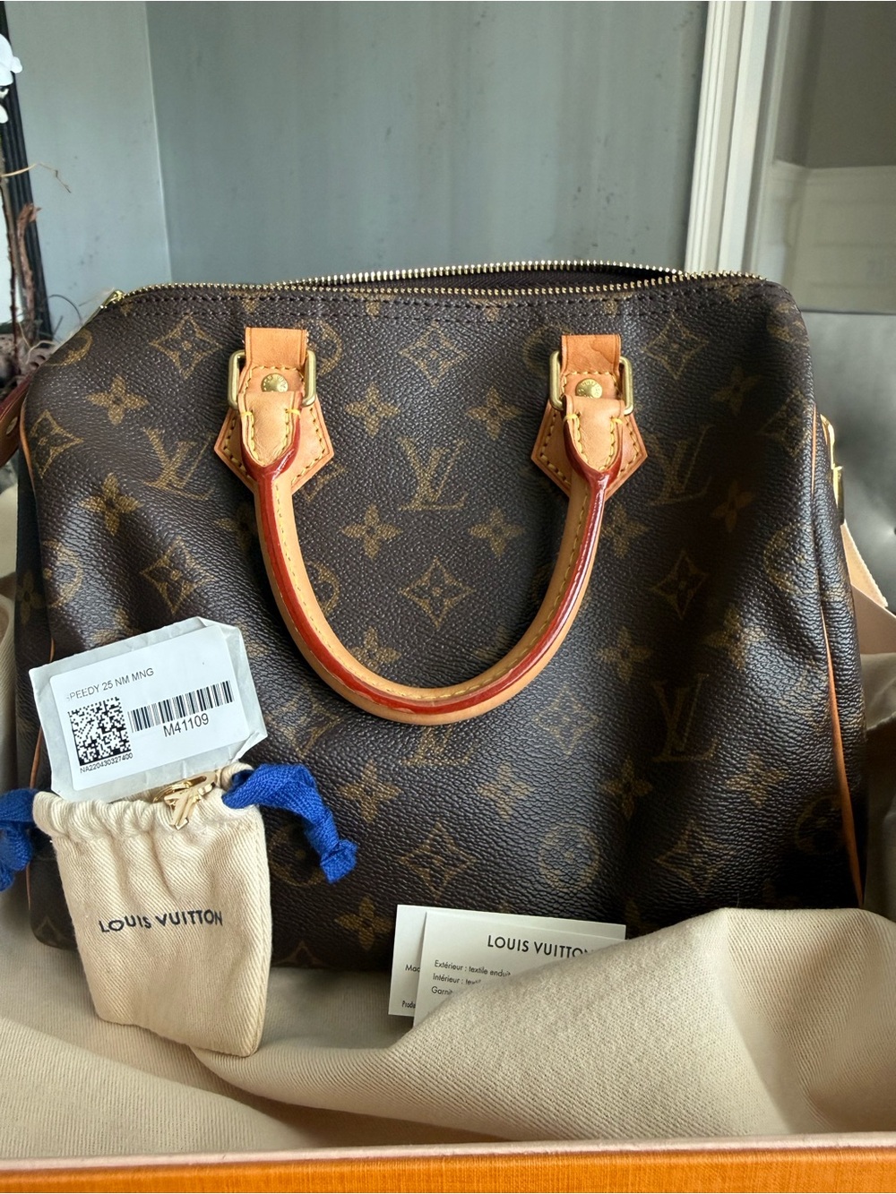 Louis Vuitton Monogram Canvas Speedy 25 Satchel in Brown